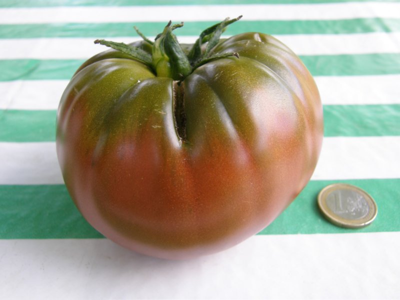 Fichier:Tomate black aisberg-1.jpg