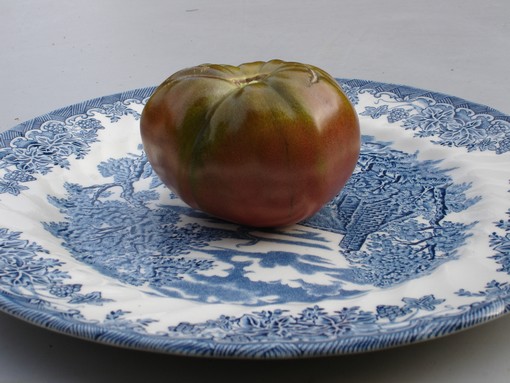 Fichier:Tomate blue fruit.jpg