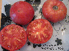 Tomate bulgarian tozabu tylaut-1.jpg