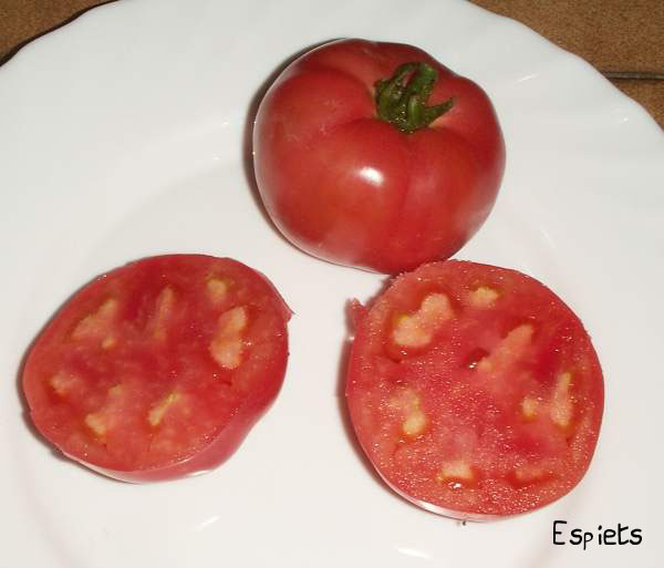 Fichier:Tomate canabec rose op.jpg