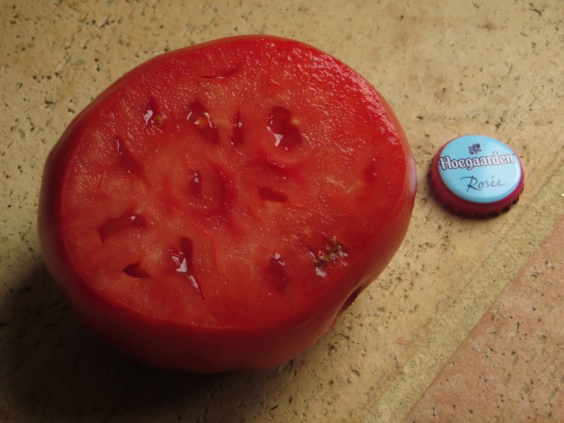 Fichier:Tomate carnoso extremeño-1.jpg