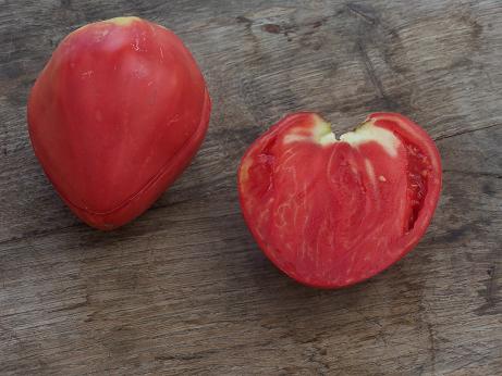 Fichier:Tomate coeur de boeuf rose.jpg