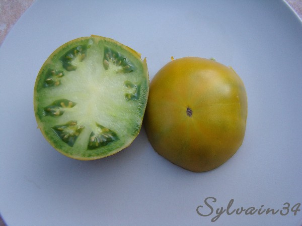 Fichier:Tomate grandma oliver s green-1.jpg