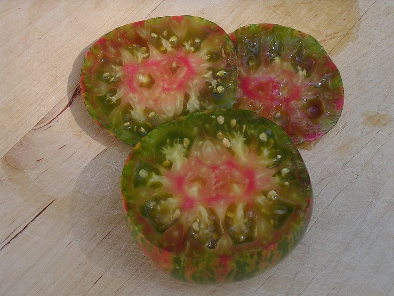 Fichier:Tomate green copia.jpg