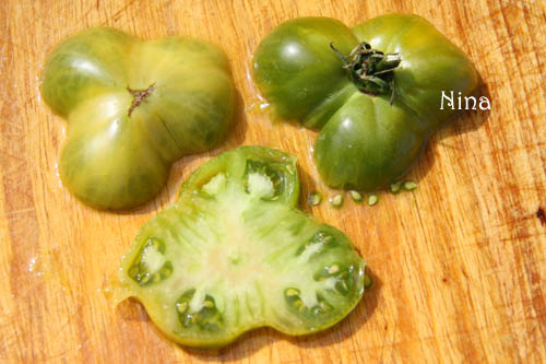 Fichier:Tomate green giant op-1.jpg