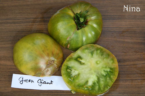 Fichier:Tomate green giant op.jpg