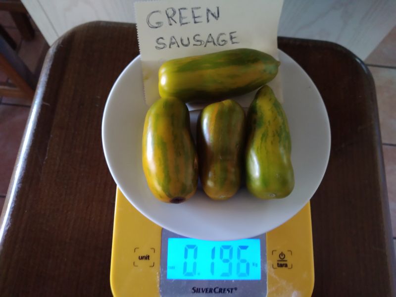 Fichier:Tomate green sausage op-2.jpg