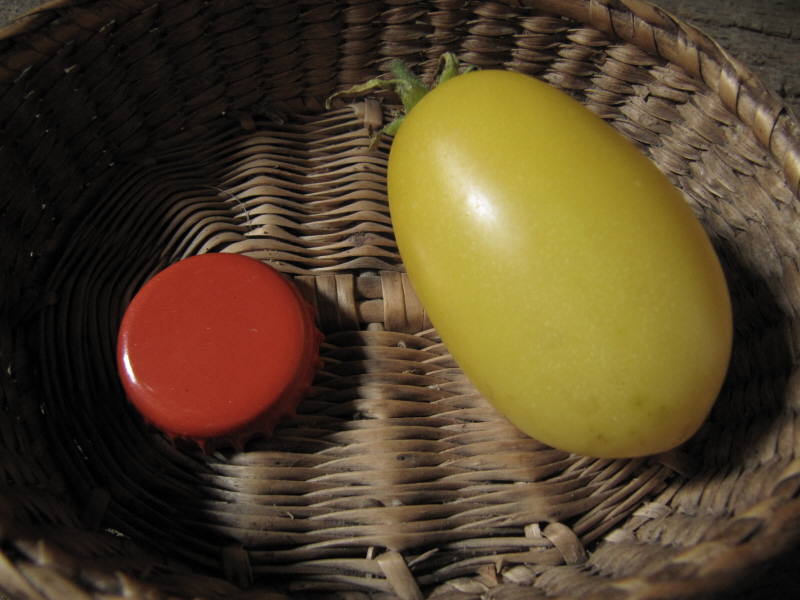 Fichier:Tomate ivory egg.jpg