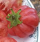 Fichier:Tomate krimska rosa.jpg