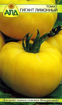 Tomate lemon giant-1.jpg