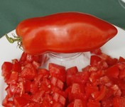 Tomate long tom-1.jpg