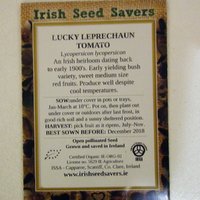 Tomate lucky leprechaun.jpg
