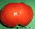 Tomate mont athos-1.jpg