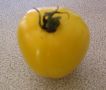 Tomate moonglow-1.jpg