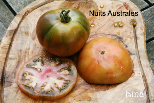Fichier:Tomate nuits australes-1.jpg