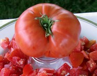 Tomate old Virginia.jpg