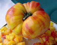 Tomate old german-1.jpg