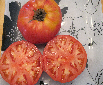 Tomate polish-1.jpg