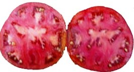 Fichier:Tomate prinz von sachsen coburg-2.jpg