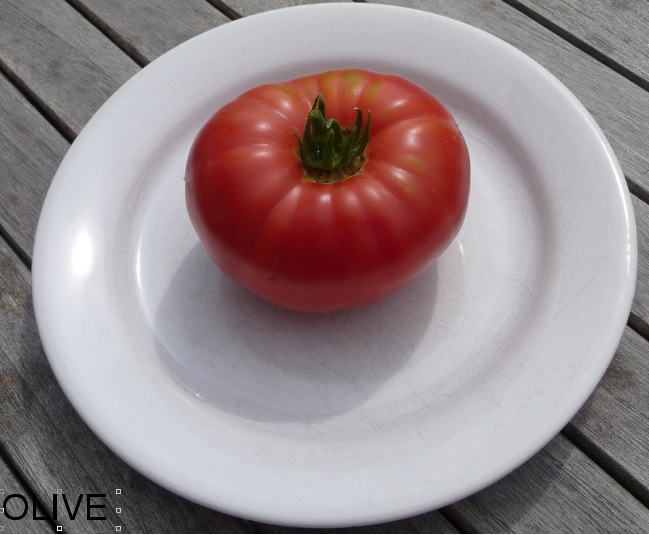 Fichier:Tomate prudens purple-1.jpg