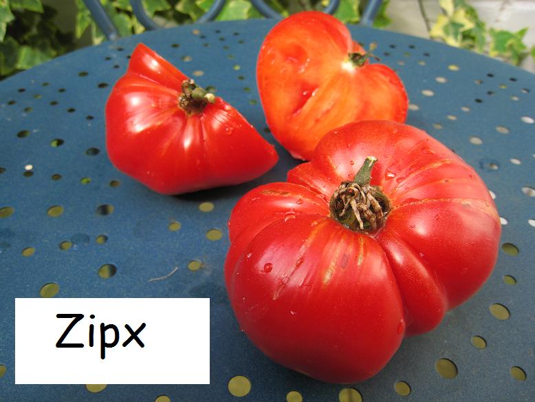 Fichier:Tomate prudens purple.jpg