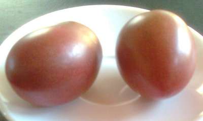 Fichier:Tomate purple russian-1.jpg