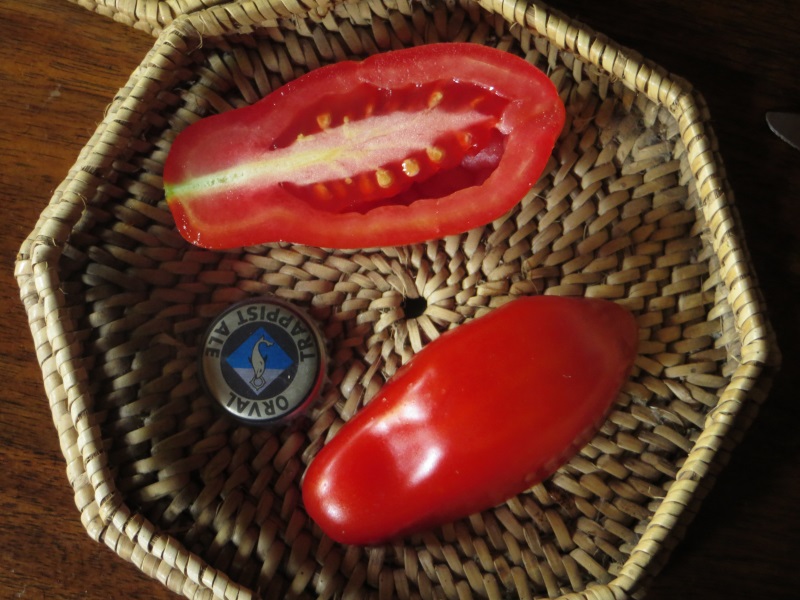 Fichier:Tomate san marzano 2-2.jpg