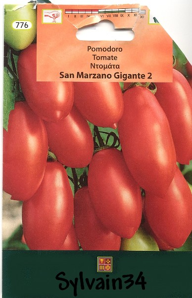 Fichier:Tomate san marzano gigante.jpg