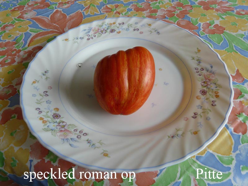 Fichier:Tomate speckled roman op.jpg