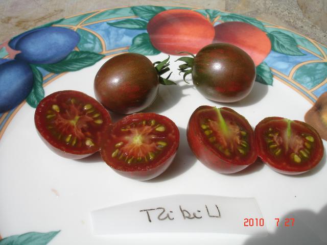 Fichier:Tomate tzi bi u-2.jpg