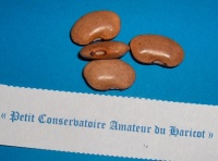 À Cosse violette.jpg