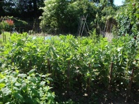 945716 202593473225122 186504630 n.jpg