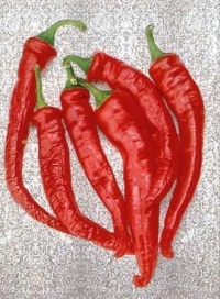 Aji cacho de cabra.jpg