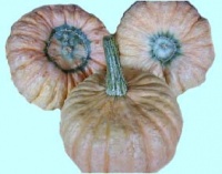 Australian butter.jpg