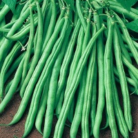 Blanc de juillet-1.jpg