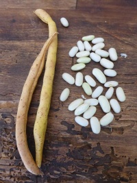 Blanc de juillet-2.jpg