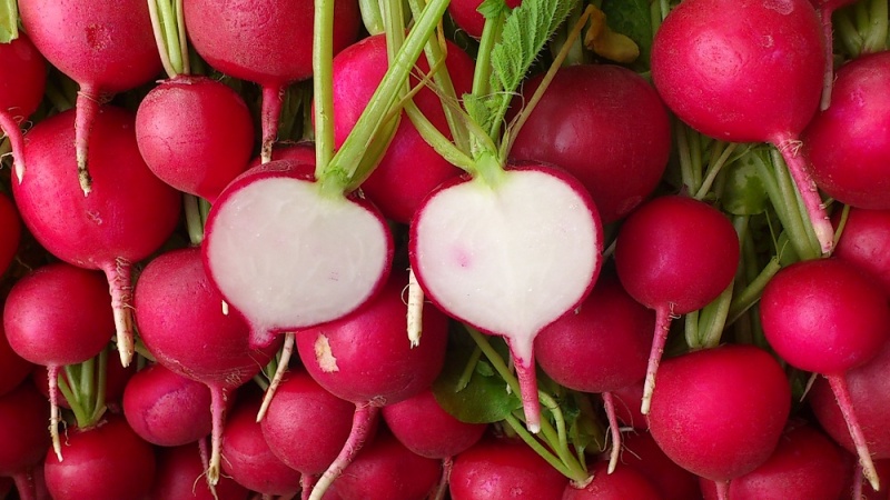 Fichier:Bruner Riesen-2.jpg