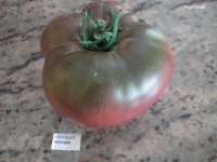 CHOCOLATE WONDER.jpg