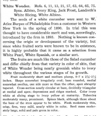 CONCOMBRE white wonder-1.jpg