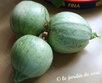 COURGETTE ronde de nice.jpg