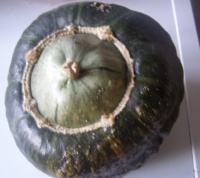 COURGE buttercup burgess.jpg