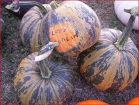 COURGE lady godiva-1.jpg