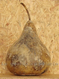 COURGE martinhouse-1.jpg