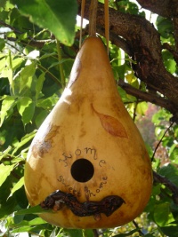 COURGE martinhouse-2.jpg