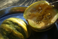 COURGE mongogo du guatémala-1.jpg