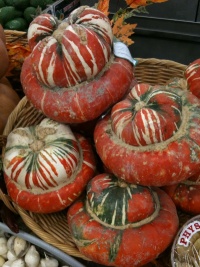 COURGE petit bonnet turc.jpg