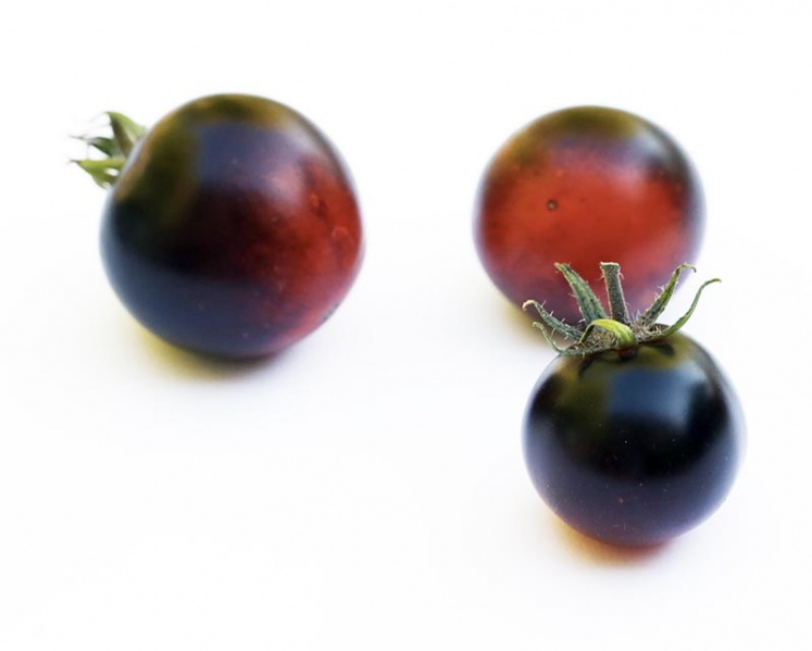 Fichier:Cascade Village-1.jpg