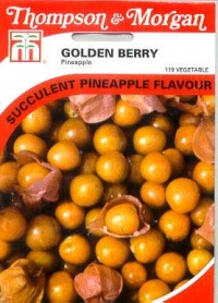 Cerise de terre Ananas-1.jpg