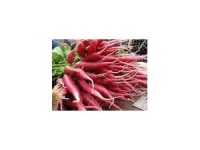 Chinois rose (scarlet China).jpg