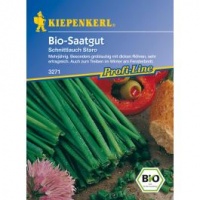 Ciboulette Staro-1.jpg